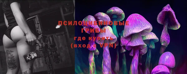 стафф Алексеевка
