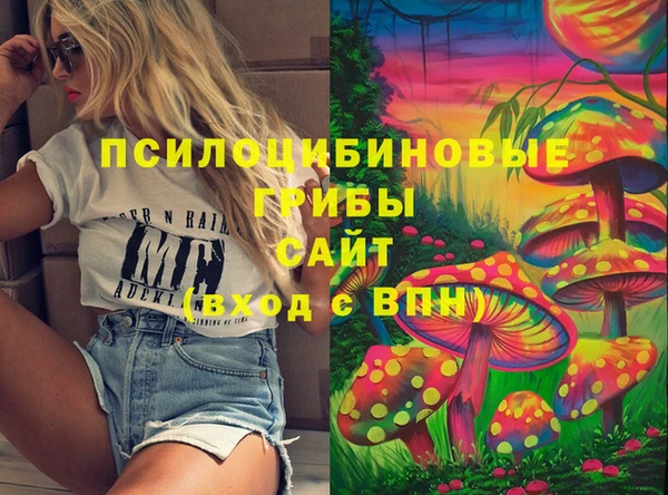 спиды Алексин